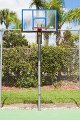 Magic Tree Resort-4153